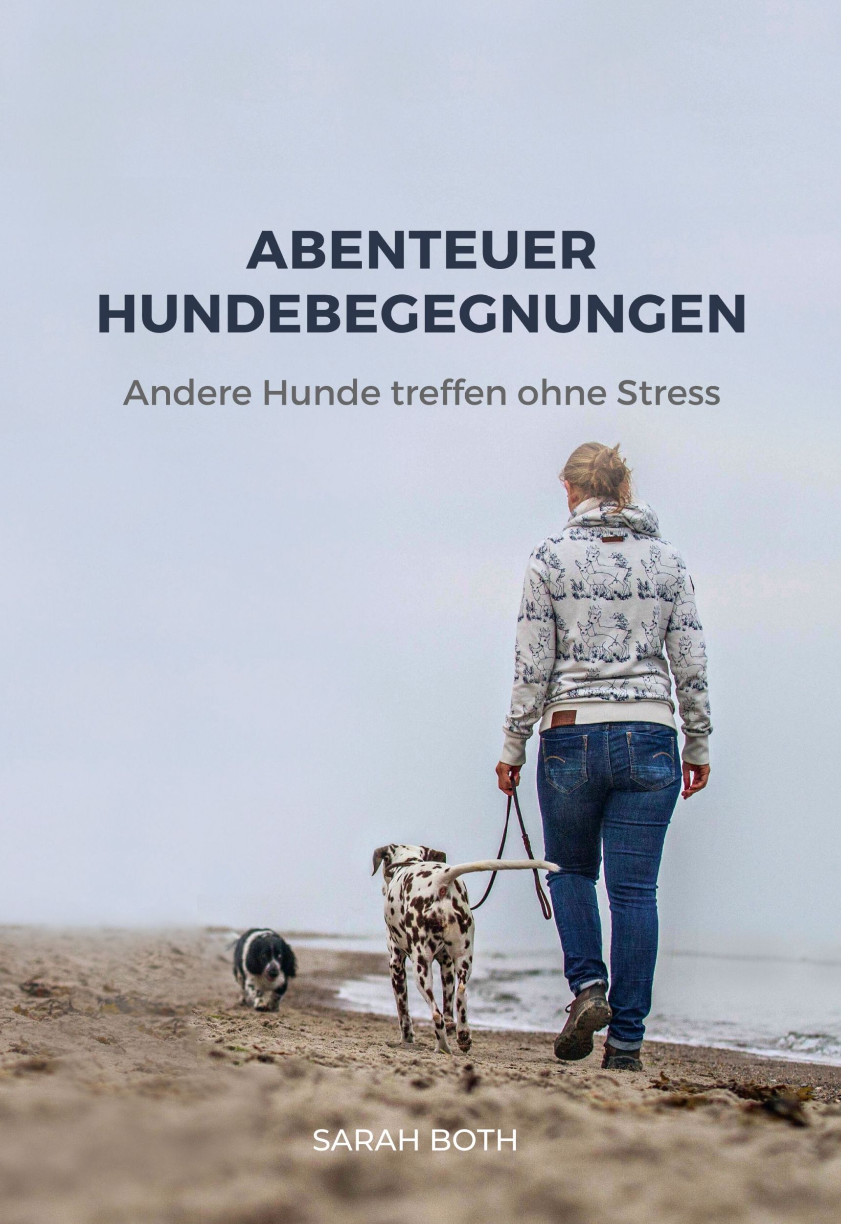 Cover: 9783910256033 | Abenteuer Hundebegegnungen | Andere Hunde treffen ohne Stress | Both