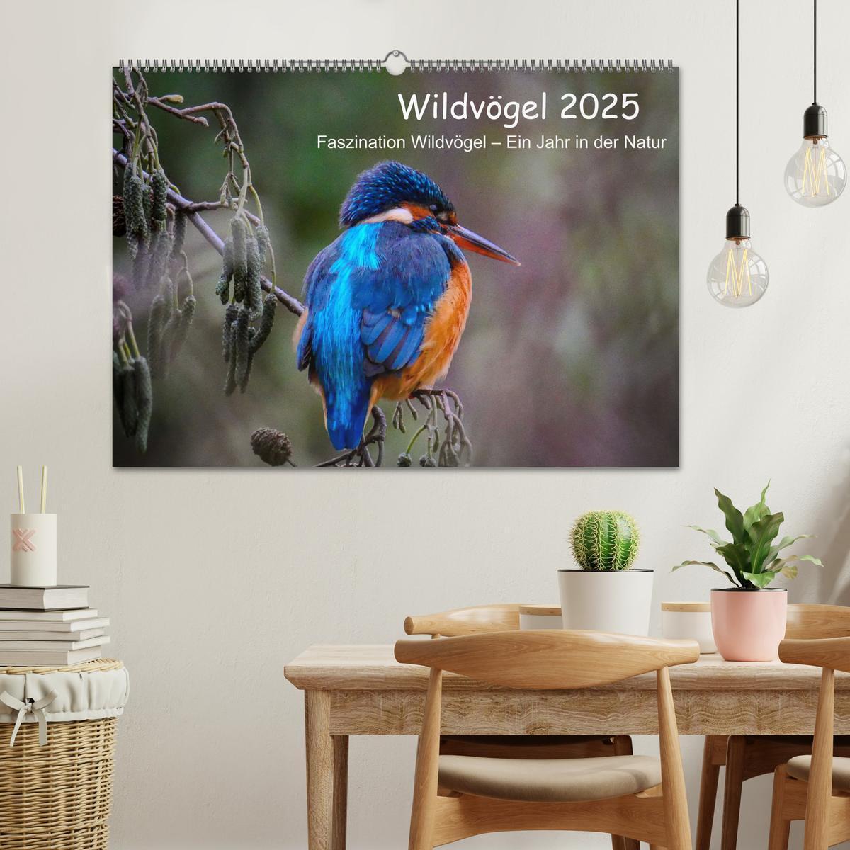 Bild: 9783457209790 | Wildvögel 2025 (Wandkalender 2025 DIN A2 quer), CALVENDO...