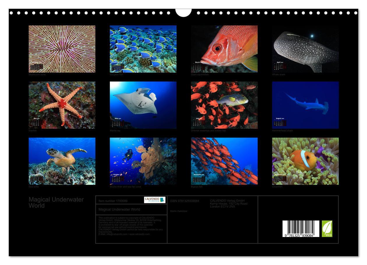 Bild: 9781325939084 | Magical Underwater World (Wall Calendar 2025 DIN A3 landscape),...