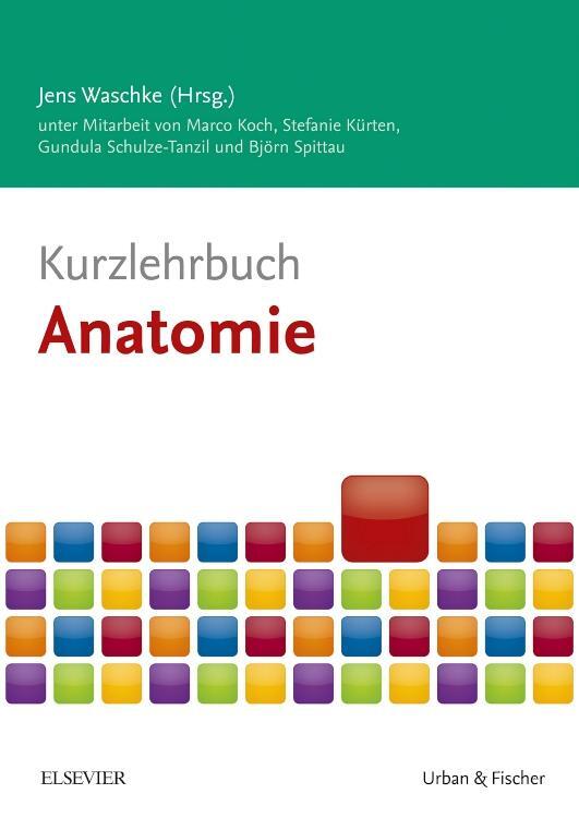 Cover: 9783437432958 | Kurzlehrbuch Anatomie | Marco Koch (u. a.) | Taschenbuch | Deutsch