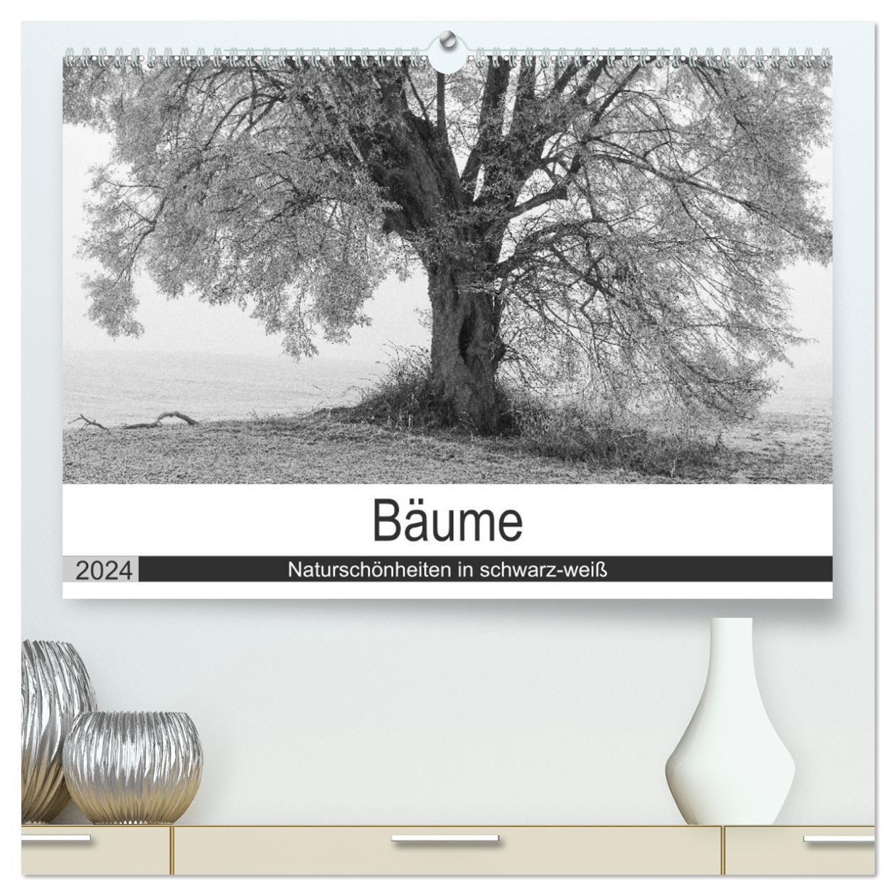 Cover: 9783675900073 | Bäume - Naturschönheiten in schwarz-weiß (hochwertiger Premium...