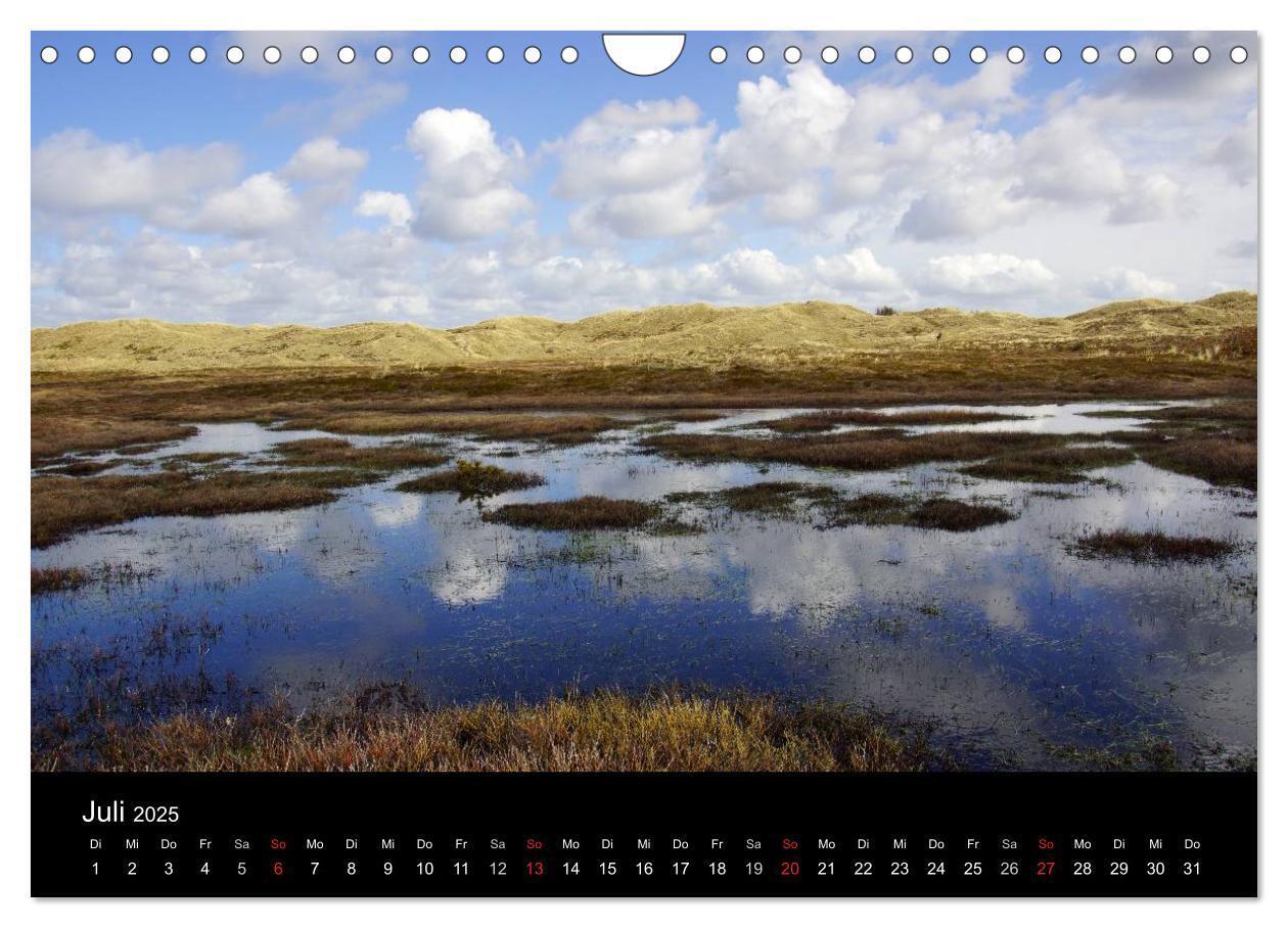 Bild: 9783435608546 | Dänemark - Umgebung von Hvide Sande (Wandkalender 2025 DIN A4...