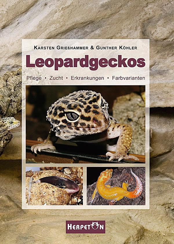 Cover: 9783936180312 | Leopardgeckos | Pflege, Zucht, Erkrankungen, Farbvarianten | Buch