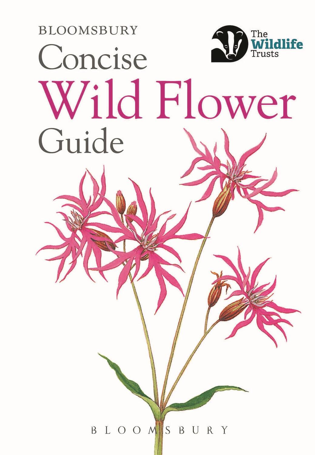 Cover: 9781472963802 | Concise Wild Flower Guide | Bloomsbury | Taschenbuch | Englisch | 2018