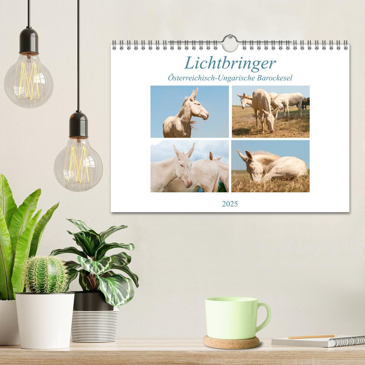 Bild: 9783435180981 | Lichtbringer - Österreichisch-Ungarische Barockesel (Wandkalender...