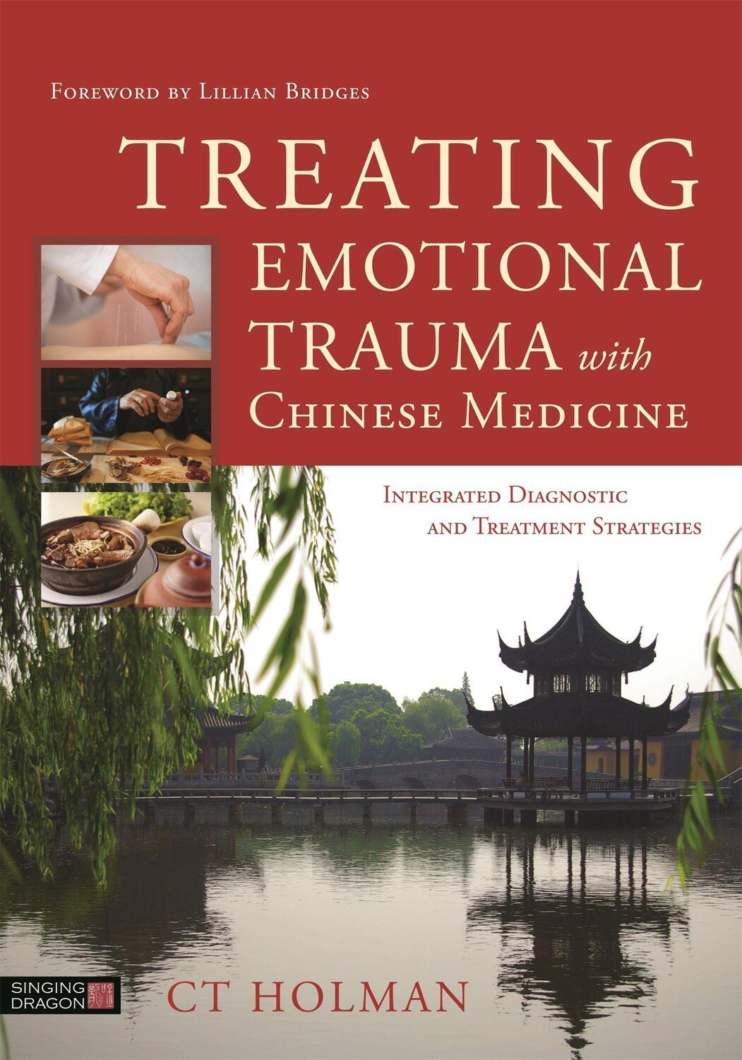 Cover: 9781848193185 | Treating Emotional Trauma with Chinese Medicine: Integrated...