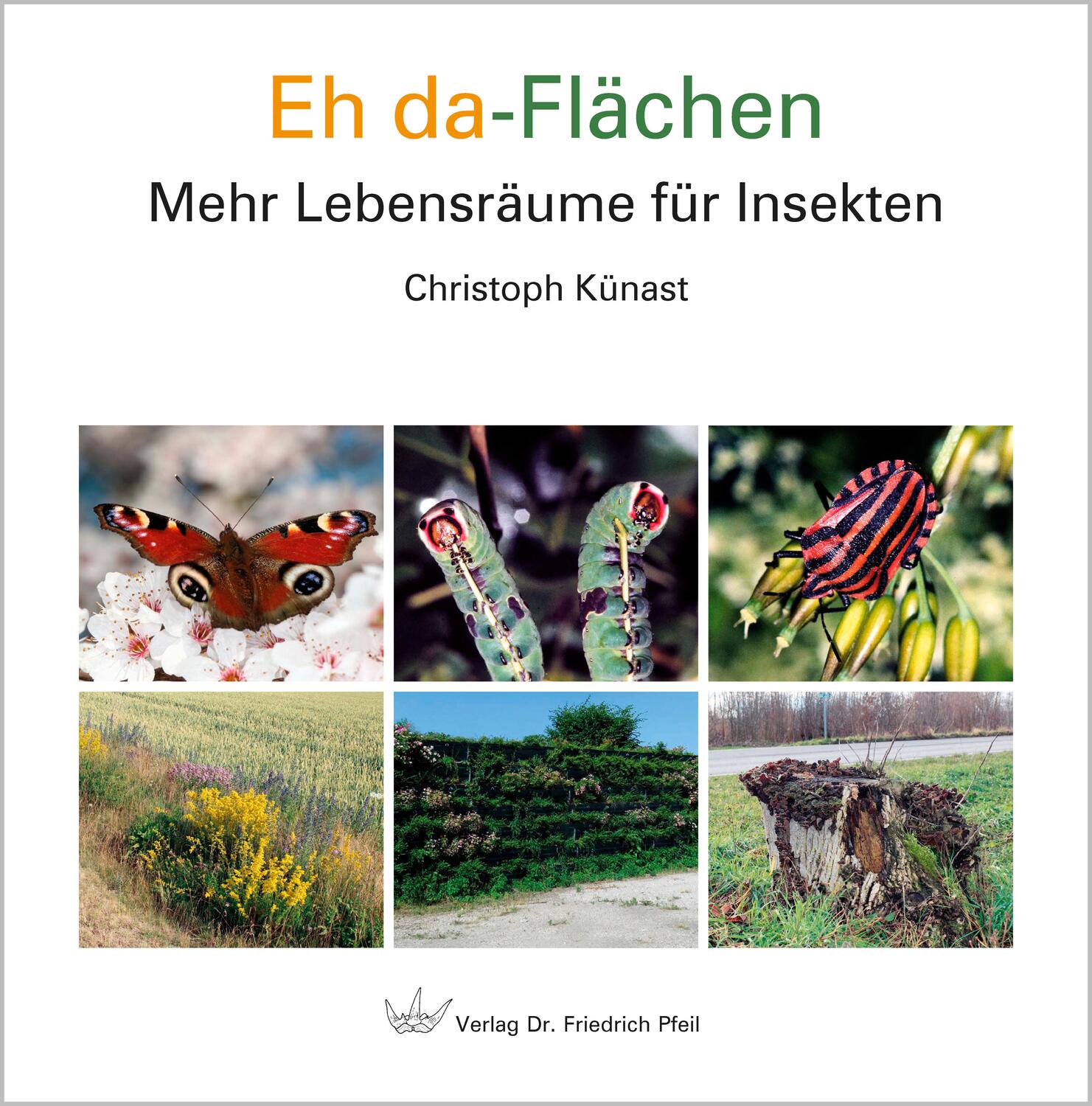 Cover: 9783899372816 | Eh da-Flächen | Mehr Lebensräume für Insekten | Christoph Künast