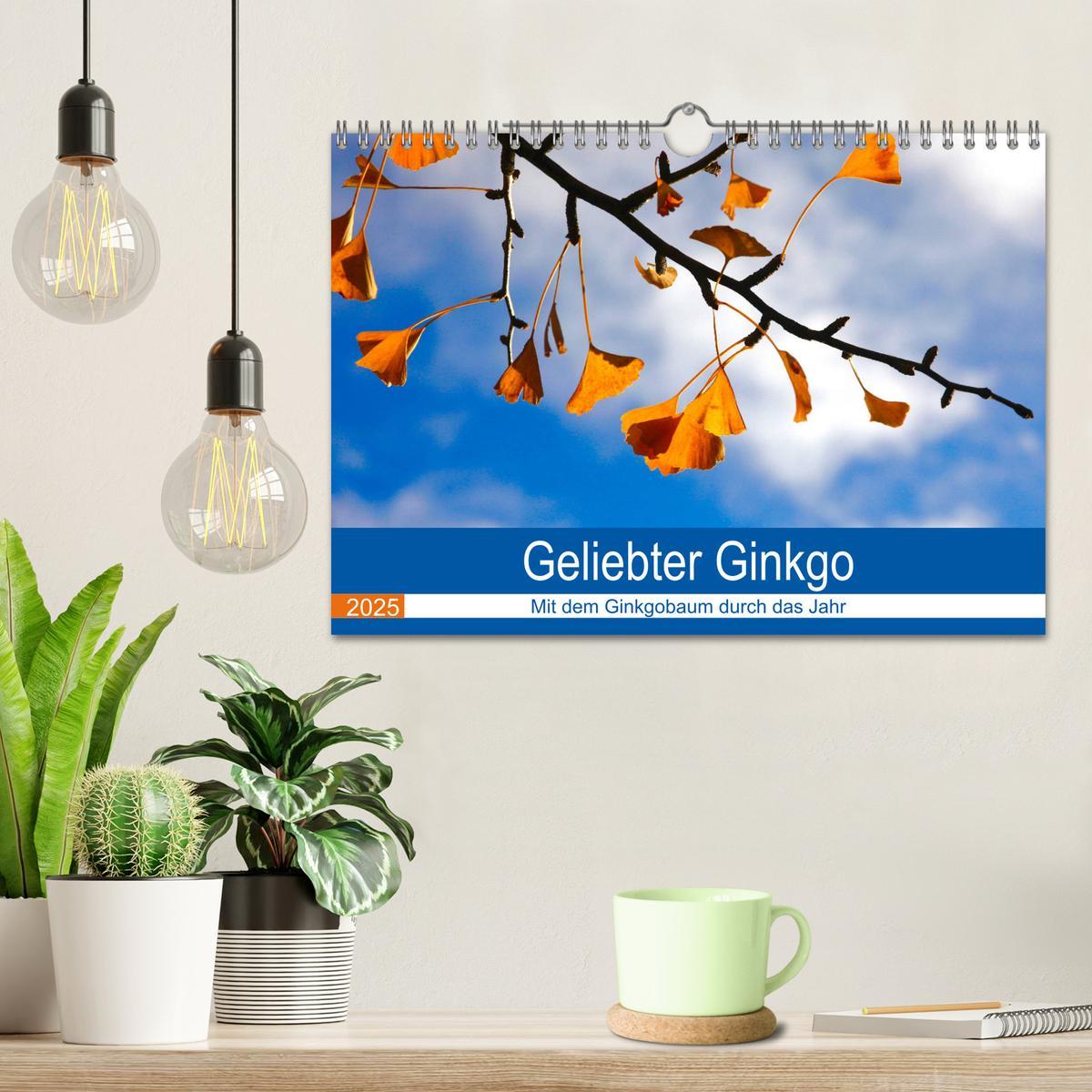 Bild: 9783435304981 | Geliebter Ginkgo (Wandkalender 2025 DIN A4 quer), CALVENDO...