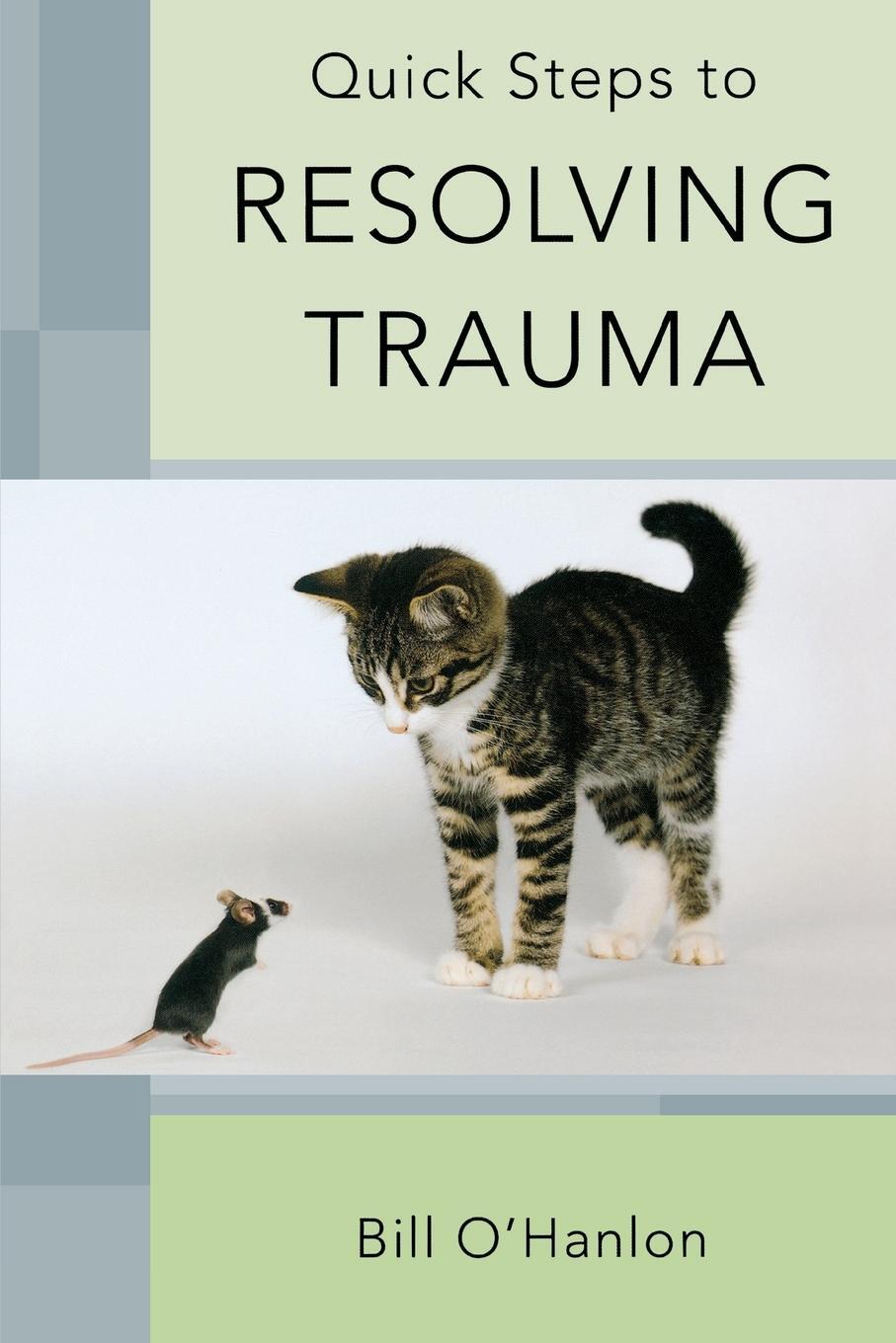 Cover: 9780393706512 | Quick Steps to Resolving Trauma | Bill O'Hanlon | Taschenbuch | 2010