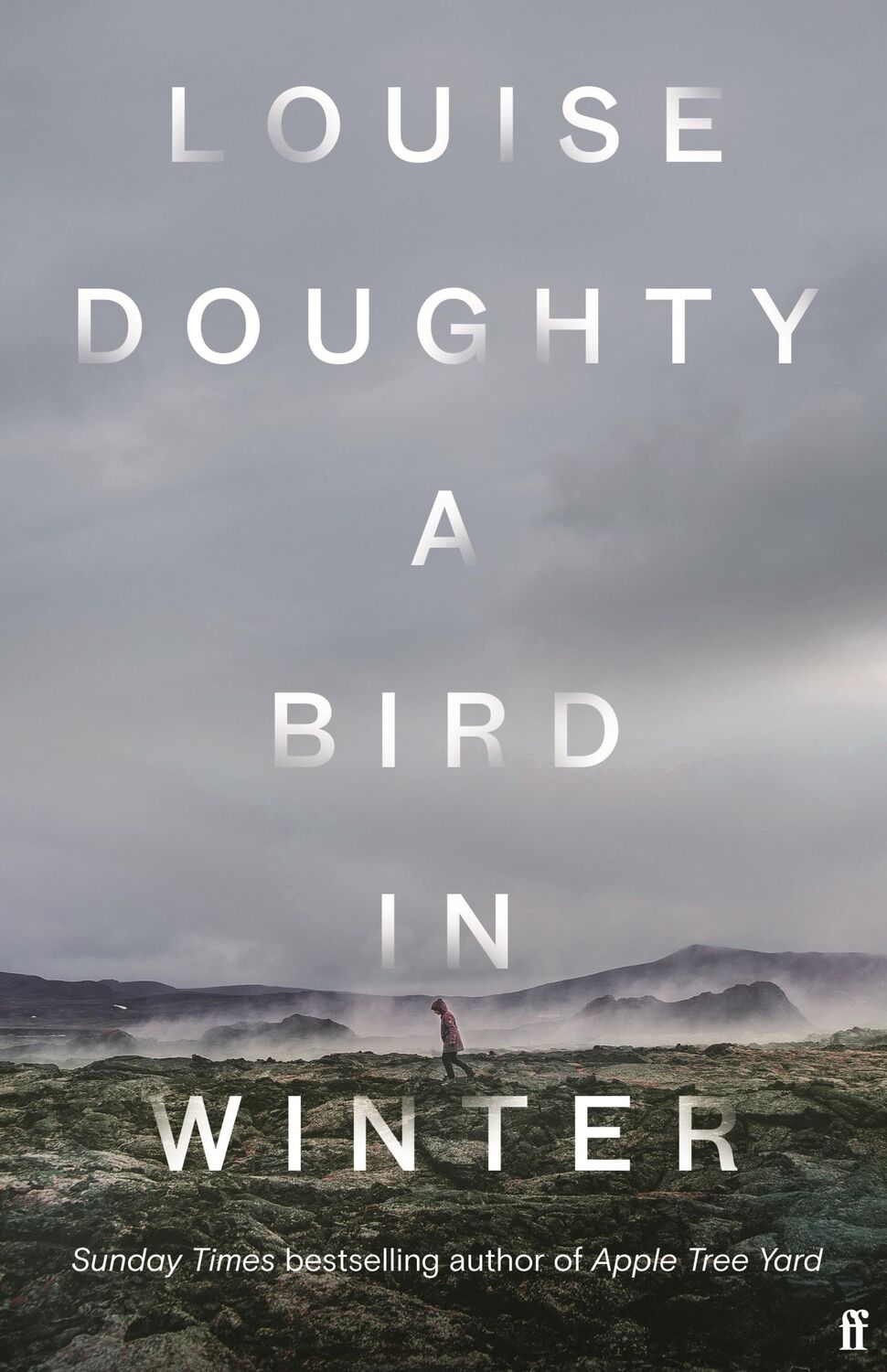 Cover: 9780571322183 | A Bird in Winter | Louise Doughty | Taschenbuch | 368 S. | Englisch