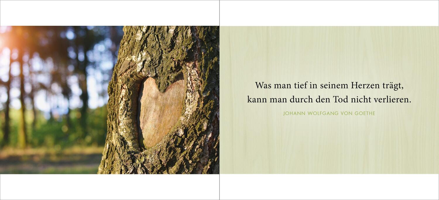Bild: 9783466372423 | Die Liebe bleibt | Trost in Zeiten der Trauer | Doris Huber | Buch