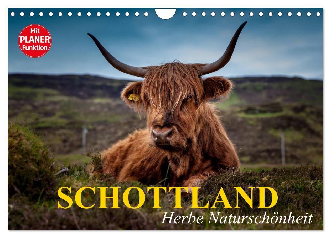Cover: 9783383308369 | Schottland. Herbe Naturschönheit (Wandkalender 2024 DIN A4 quer),...