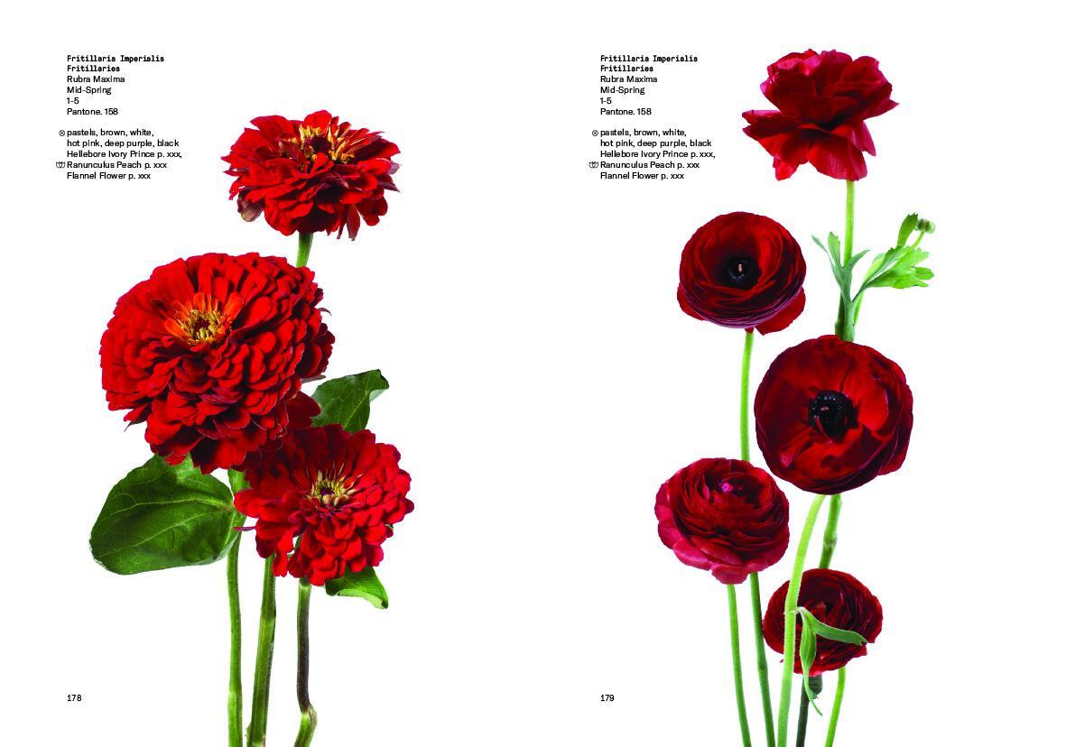 Bild: 9780714878300 | Flower Colour Guide | Darroch Putnam (u. a.) | Taschenbuch | 485 S.