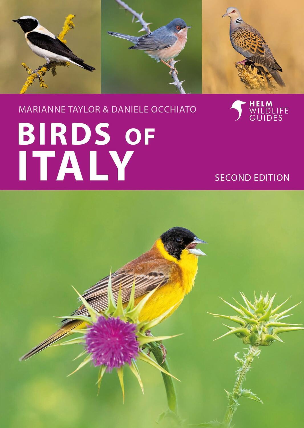 Cover: 9781399410649 | Birds of Italy | Second Edition | Daniele Occhiato (u. a.) | Buch