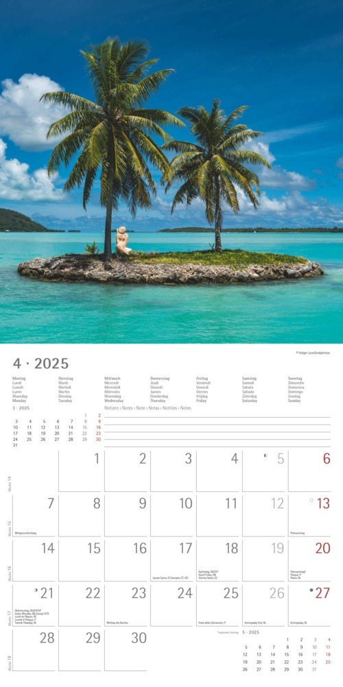 Bild: 4251732340872 | Alpha Edition - Summer Dreams 2025 Broschürenkalender, 30x30cm,...