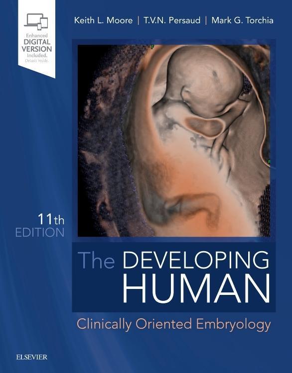 Cover: 9780323611541 | The Developing Human | Clinically Oriented Embryology | Moore (u. a.)
