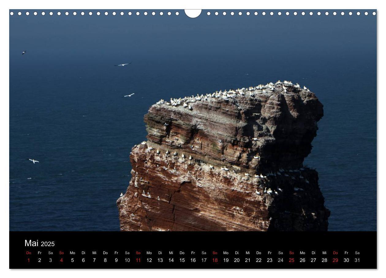 Bild: 9783435768684 | Helgoland (Wandkalender 2025 DIN A3 quer), CALVENDO Monatskalender