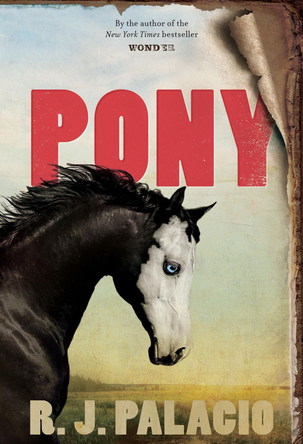 Cover: 9780553508116 | Pony | R. J. Palacio | Buch | Knopf Books for Young Readers | 304 S.