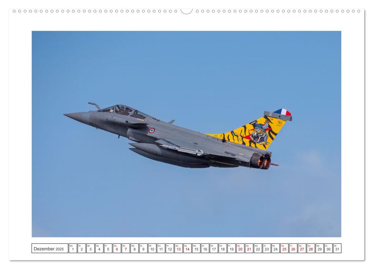 Bild: 9783457154243 | Tiger Meet Schleswig (Wandkalender 2025 DIN A2 quer), CALVENDO...