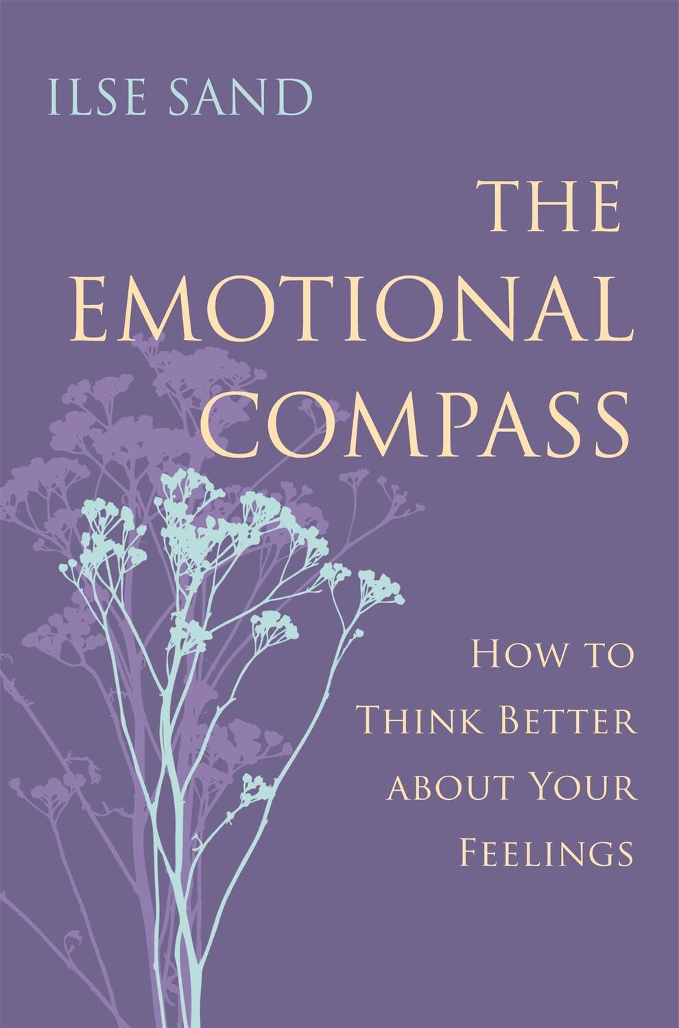 Cover: 9781785921278 | The Emotional Compass | How to Think Better about Your Feelings | Sand