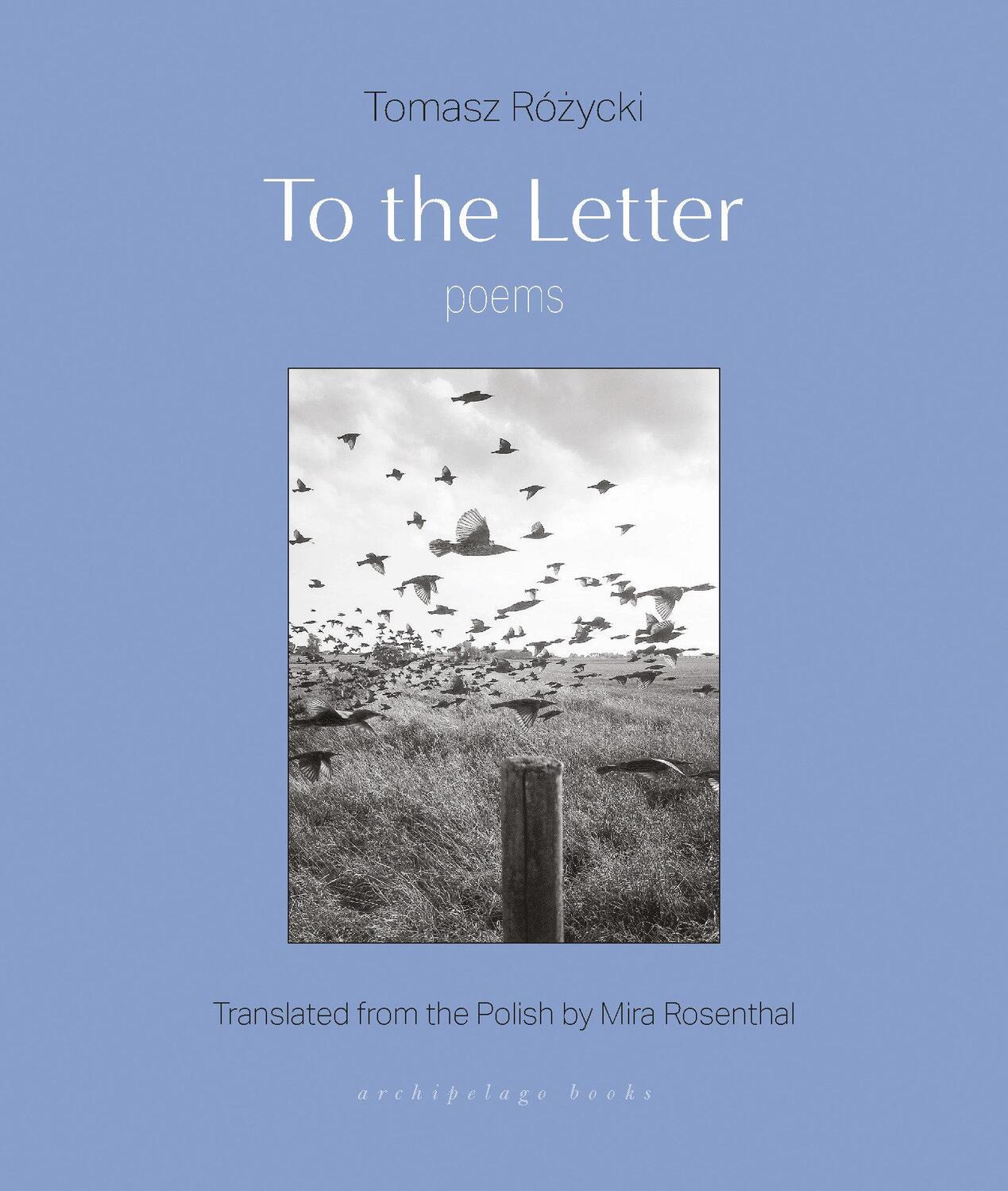 Cover: 9781953861726 | To The Letter | Poems | Mira Rosenthal (u. a.) | Taschenbuch | 2024