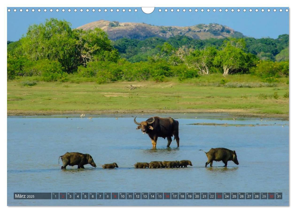 Bild: 9783435688241 | Sri Lanka - Eine Bilder-Reise (Wandkalender 2025 DIN A3 quer),...