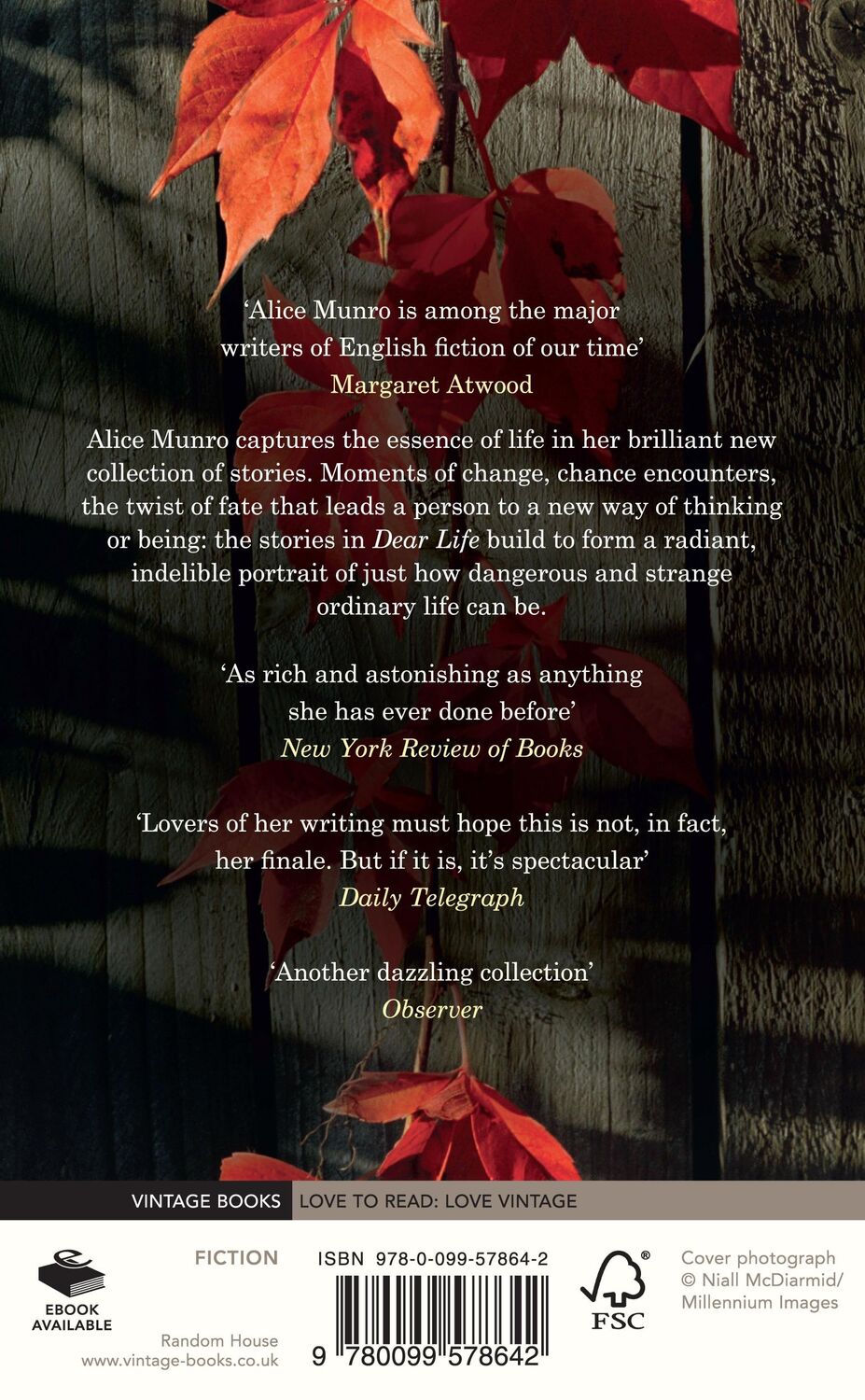 Rückseite: 9780099578642 | Dear Life | Alice Munro | Taschenbuch | 336 S. | Englisch | 2013