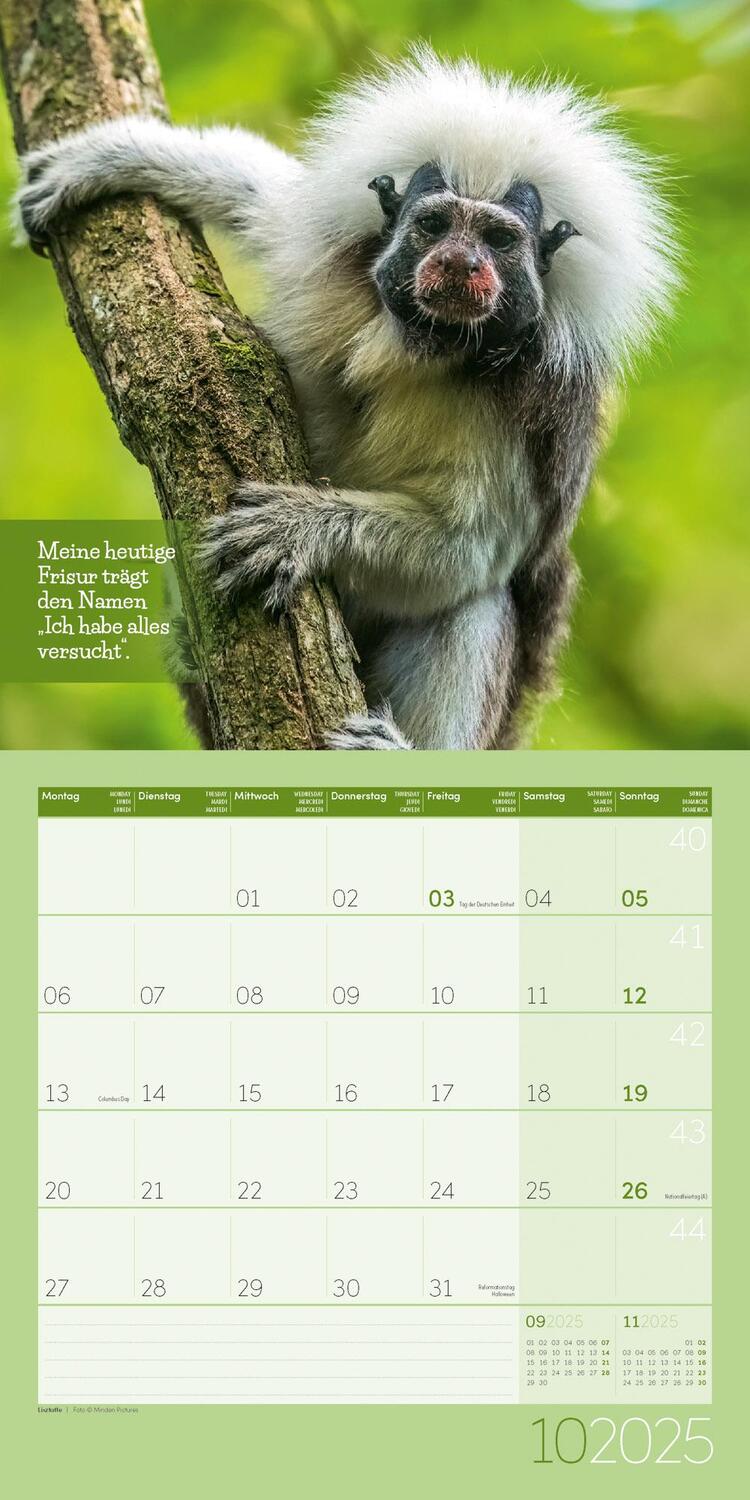 Bild: 9783838445359 | Keep Smiling! Kalender 2025 - 30x30 | Ackermann Kunstverlag | Kalender