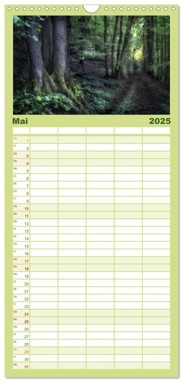 Bild: 9783457119600 | Familienplaner 2025 - Waldkalender mit 5 Spalten (Wandkalender, 21...