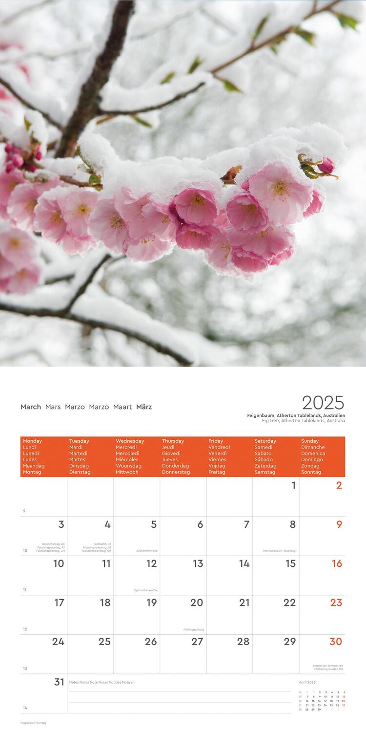 Bild: 9783965914117 | Jahreszeiten - KUNTH Broschurkalender 2025 | Kalender | 28 S. | 2025