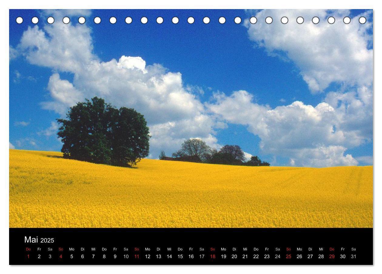 Bild: 9783435728619 | Bayerischer Wald (Tischkalender 2025 DIN A5 quer), CALVENDO...