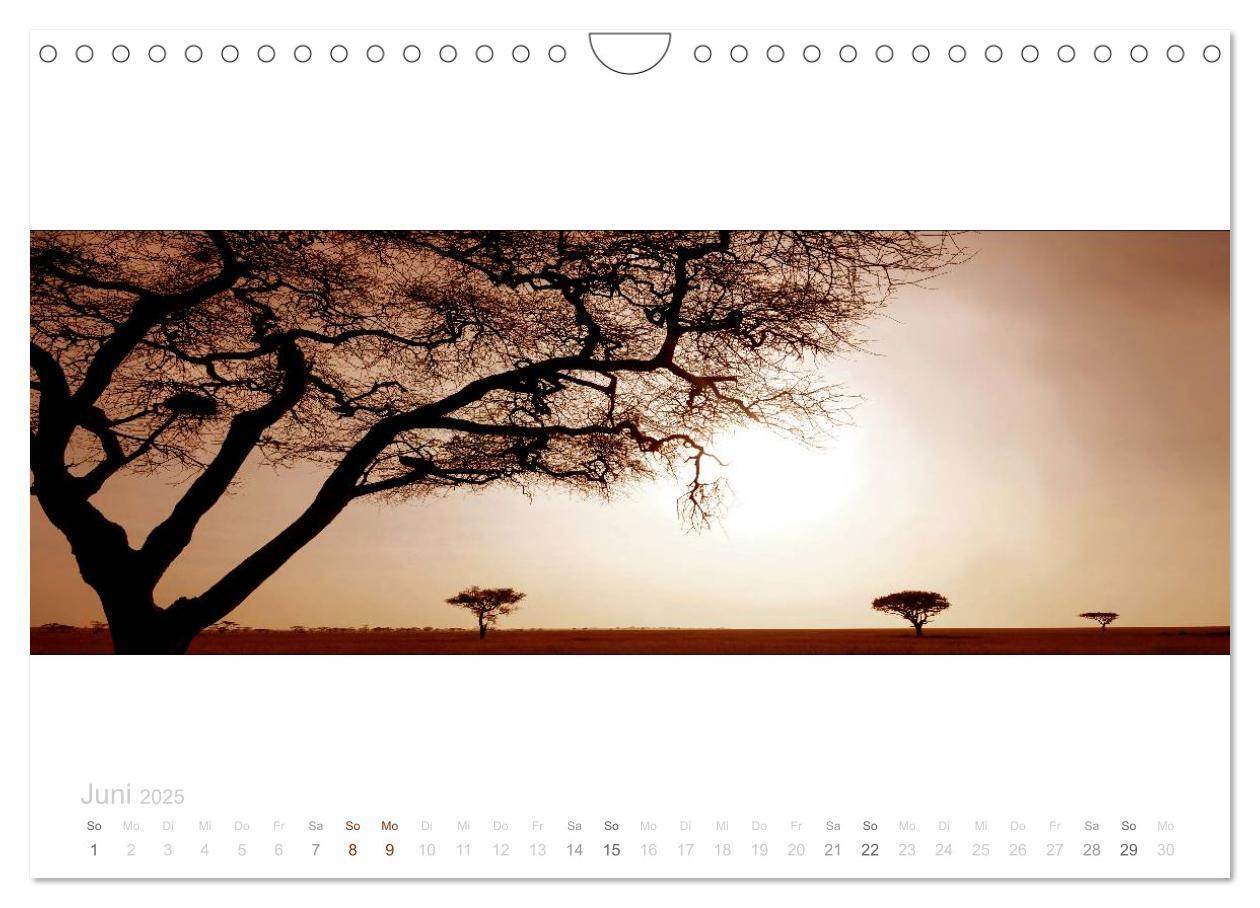 Bild: 9783435687749 | Serengeti Panorama (Wandkalender 2025 DIN A4 quer), CALVENDO...