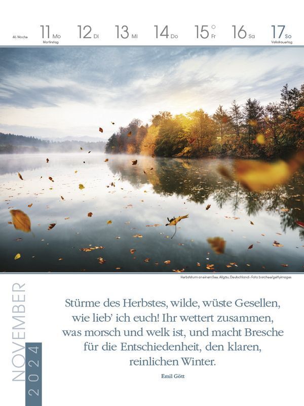 Bild: 9783731870159 | Literaturkalender Magische Wälder 2024 | Korsch Verlag | Kalender