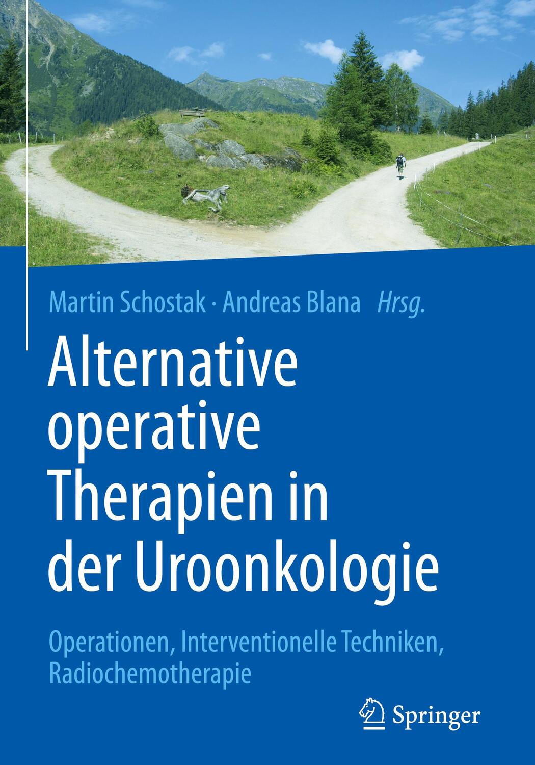 Cover: 9783662444191 | Alternative operative Therapien in der Uroonkologie | Blana (u. a.)