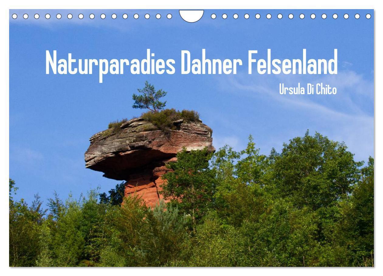 Cover: 9783383479427 | Naturparadies Dahner Felsenland (Wandkalender 2024 DIN A4 quer),...