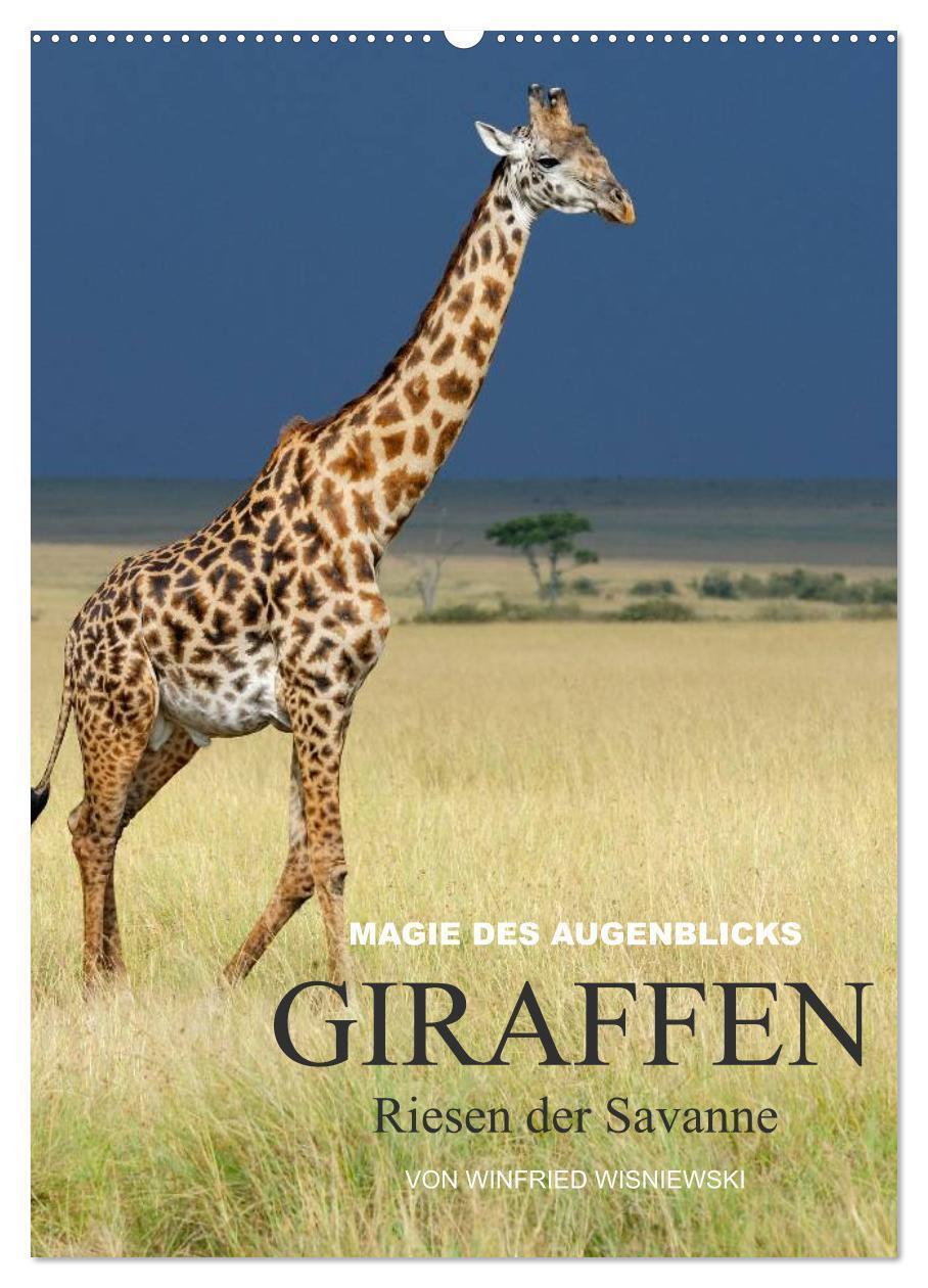 Cover: 9783457068182 | Magie des Augenblicks - Giraffen - Riesen der Savanne (Wandkalender...