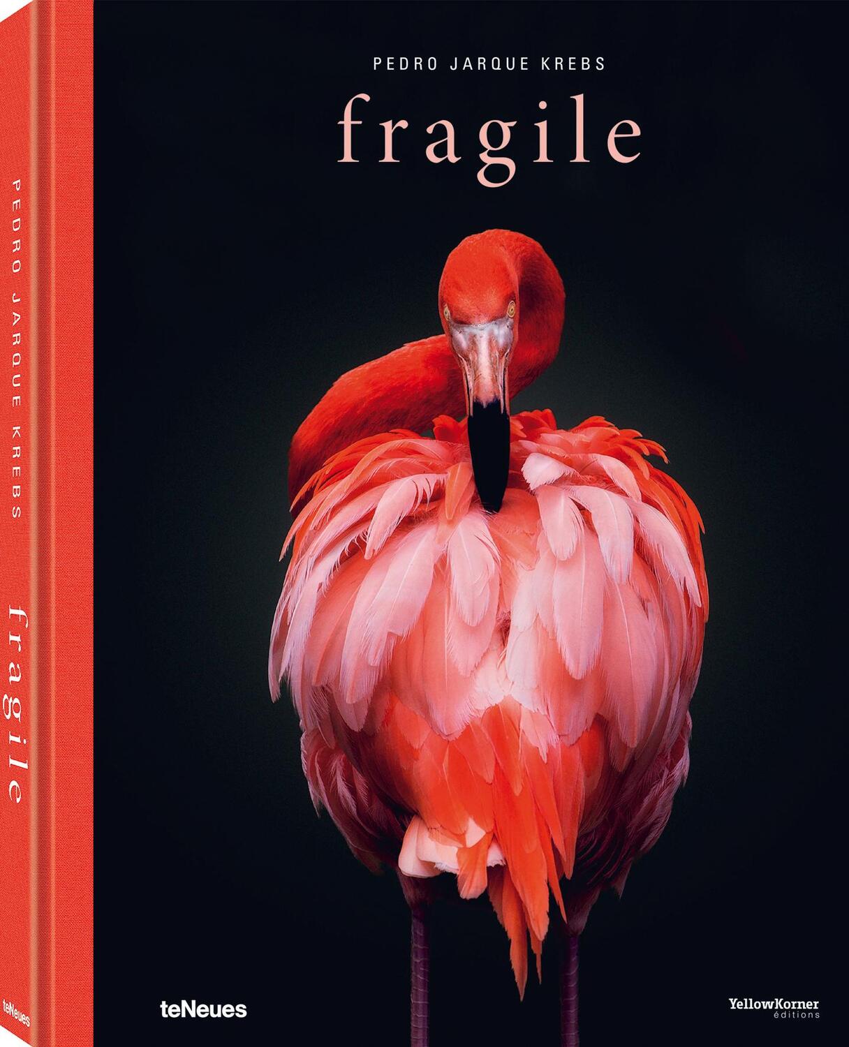 Cover: 9783961712229 | Fragile | Pedro Jarque Krebs | Buch | 220 S. | Deutsch | 2019