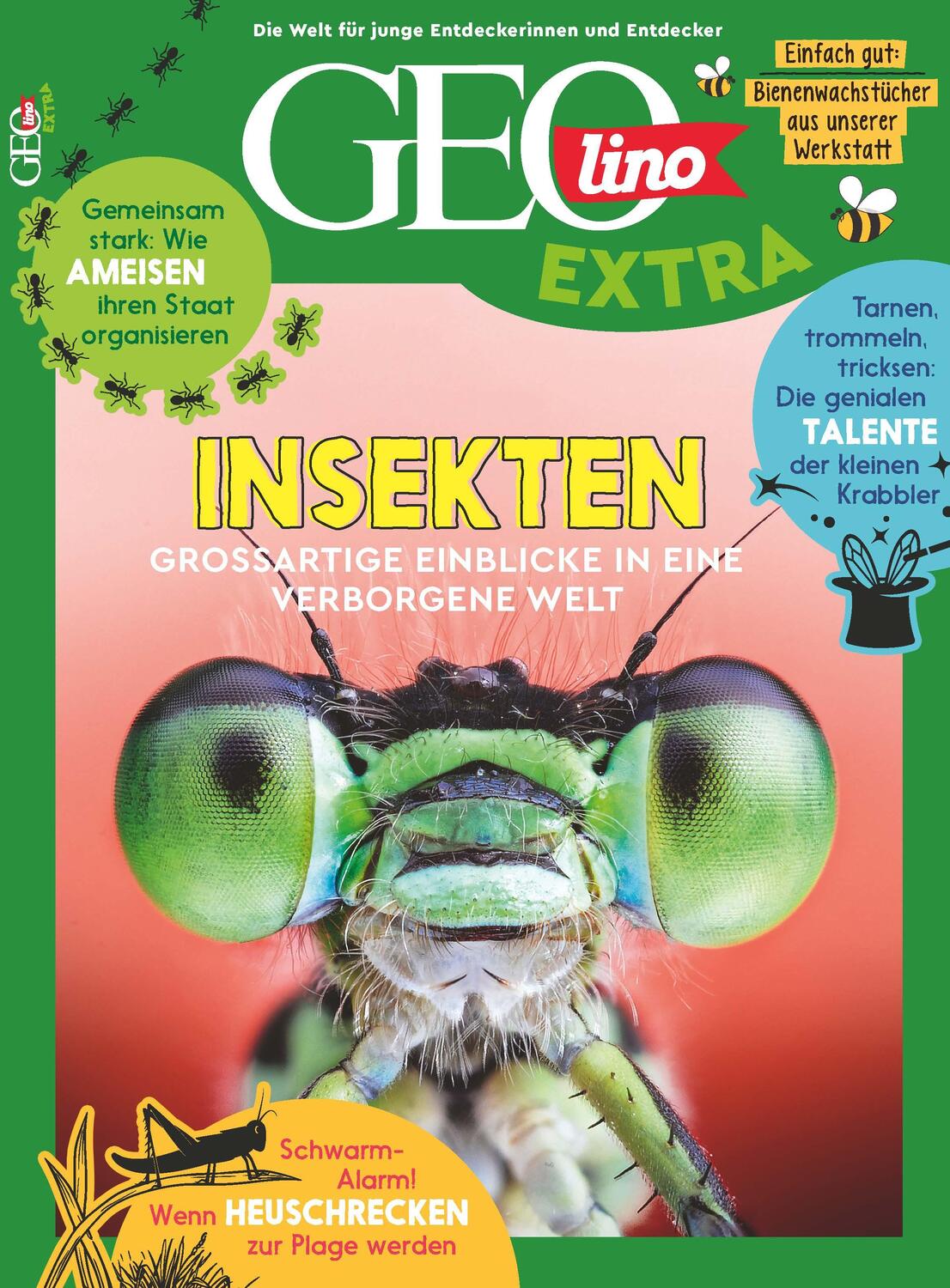 Cover: 9783652012638 | GEOlino Extra / GEOlino extra 101/2023 - Insekten | Juliane van Treeck