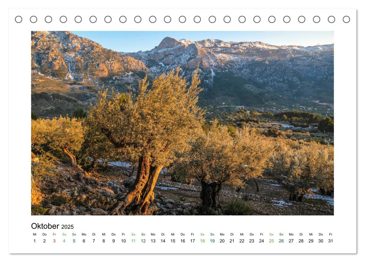 Bild: 9783435452415 | Sehnsucht nach Mallorca (Tischkalender 2025 DIN A5 quer), CALVENDO...