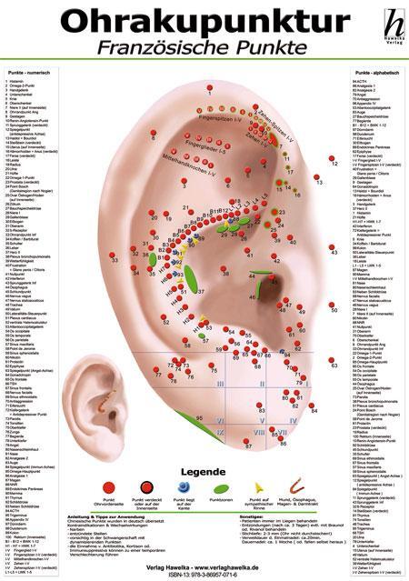 Cover: 9783869570761 | Ohrakupunktur Mini-Poster - französische Punkte DIN A4 | Poster | 2010