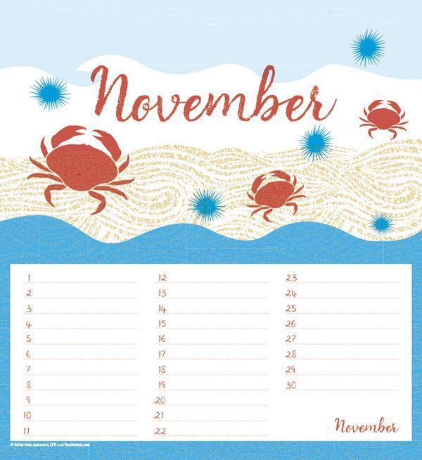 Bild: 9783731855927 | Geburtstagskalender Vitamin Sea | Korsch Verlag | Kalender | 13 S.