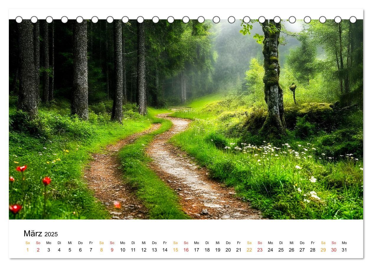 Bild: 9783457224809 | Mystik der Wälder (Tischkalender 2025 DIN A5 quer), CALVENDO...