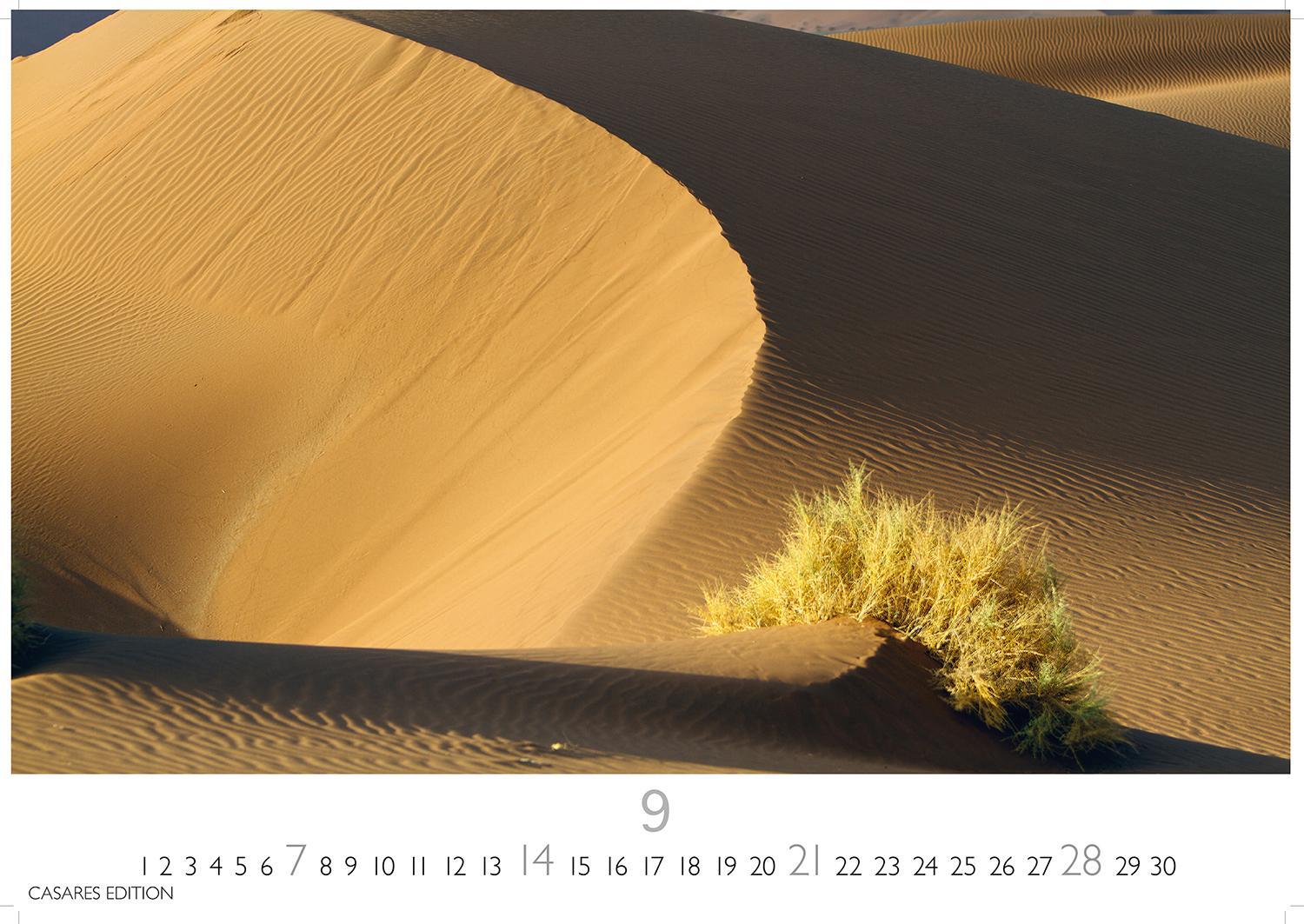 Bild: 9781835240526 | Sahara 2025 L 35x50cm | Kalender | 14 S. | Deutsch | 2025