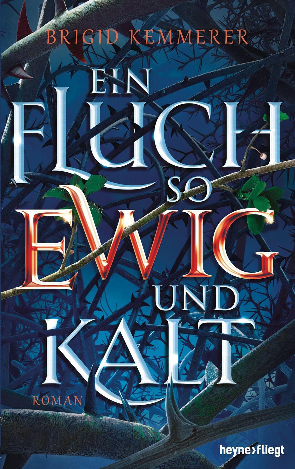 Cover: 9783453272521 | Ein Fluch so ewig und kalt | Roman | Brigid Kemmerer | Buch | 560 S.