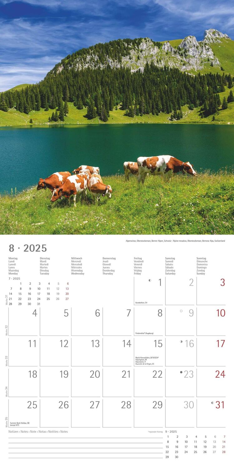 Bild: 4251732340926 | Alpen 2025 - Broschürenkalender 30x30 cm (30x60 geöffnet) -...