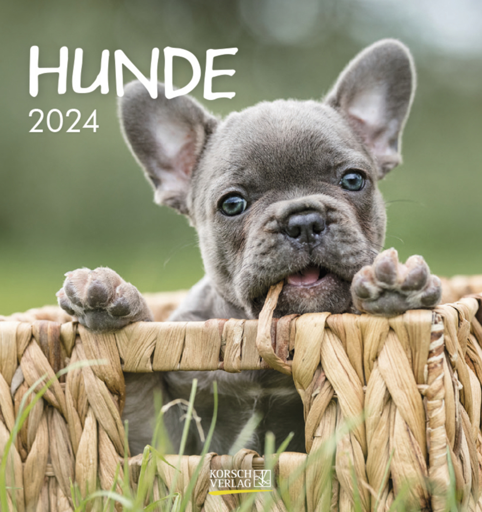 Cover: 9783731869528 | Hunde 2024 | aufstellbarer Postkartenkalender | Korsch Verlag | 13 S.