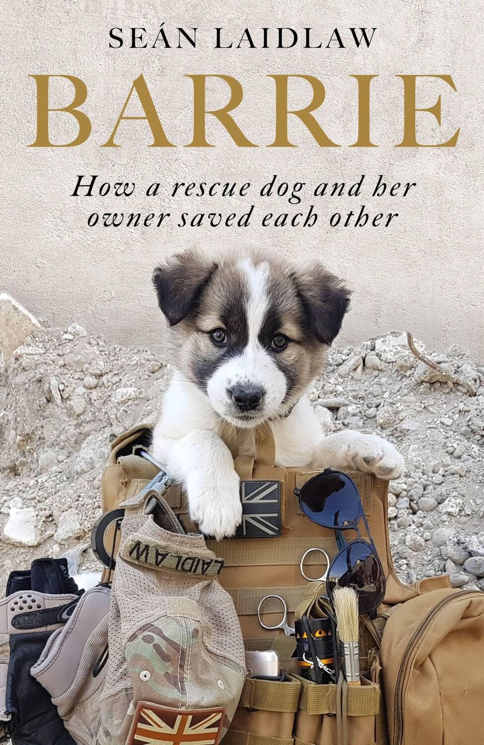 Cover: 9781529380682 | Barrie | How a rescue dog and her owner saved each other | Laidlaw