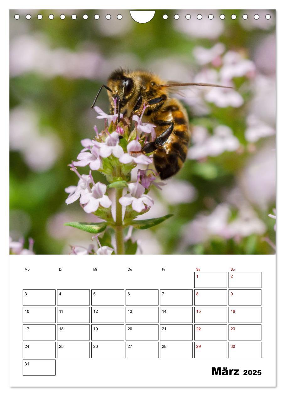 Bild: 9783435879731 | Hummeln und Bienen Terminplaner (Wandkalender 2025 DIN A4 hoch),...