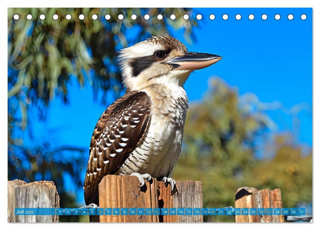 Bild: 9783383777936 | Der Kookaburra - Im australischen Busch mit dem lachenden Hans...