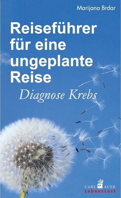 Cover: 9783849702502 | Reiseführer für eine ungeplante Reise | Marijana Brdar | Buch | 118 S.